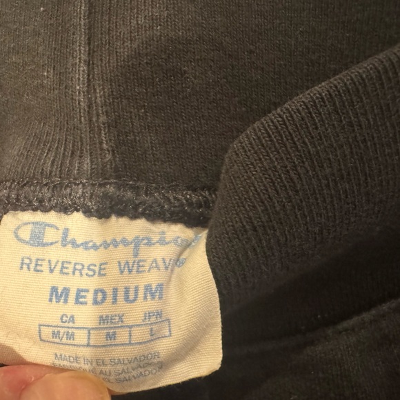 REVERSE WEAVE CHENILLE CHAMPION LOGO JOGGERS - Picture 6 of 10